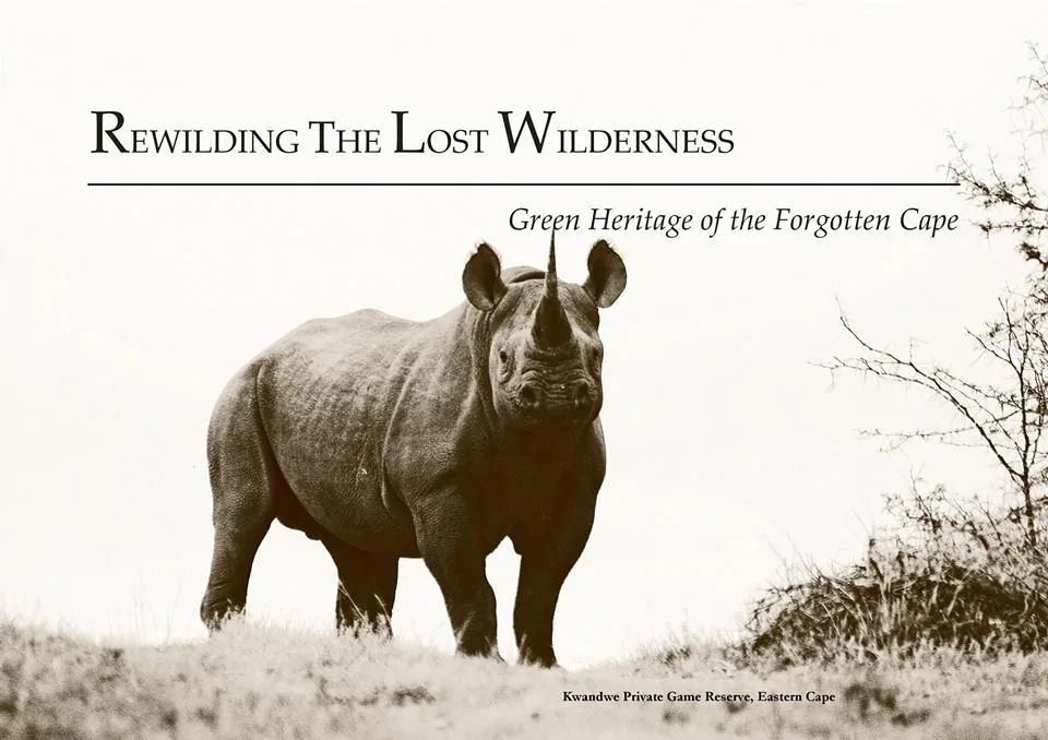 Rewilding The Lost Wilderness